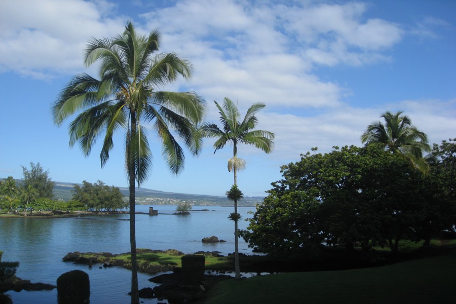 ../image/hilo hawaiian - hilo bay 6.jpg